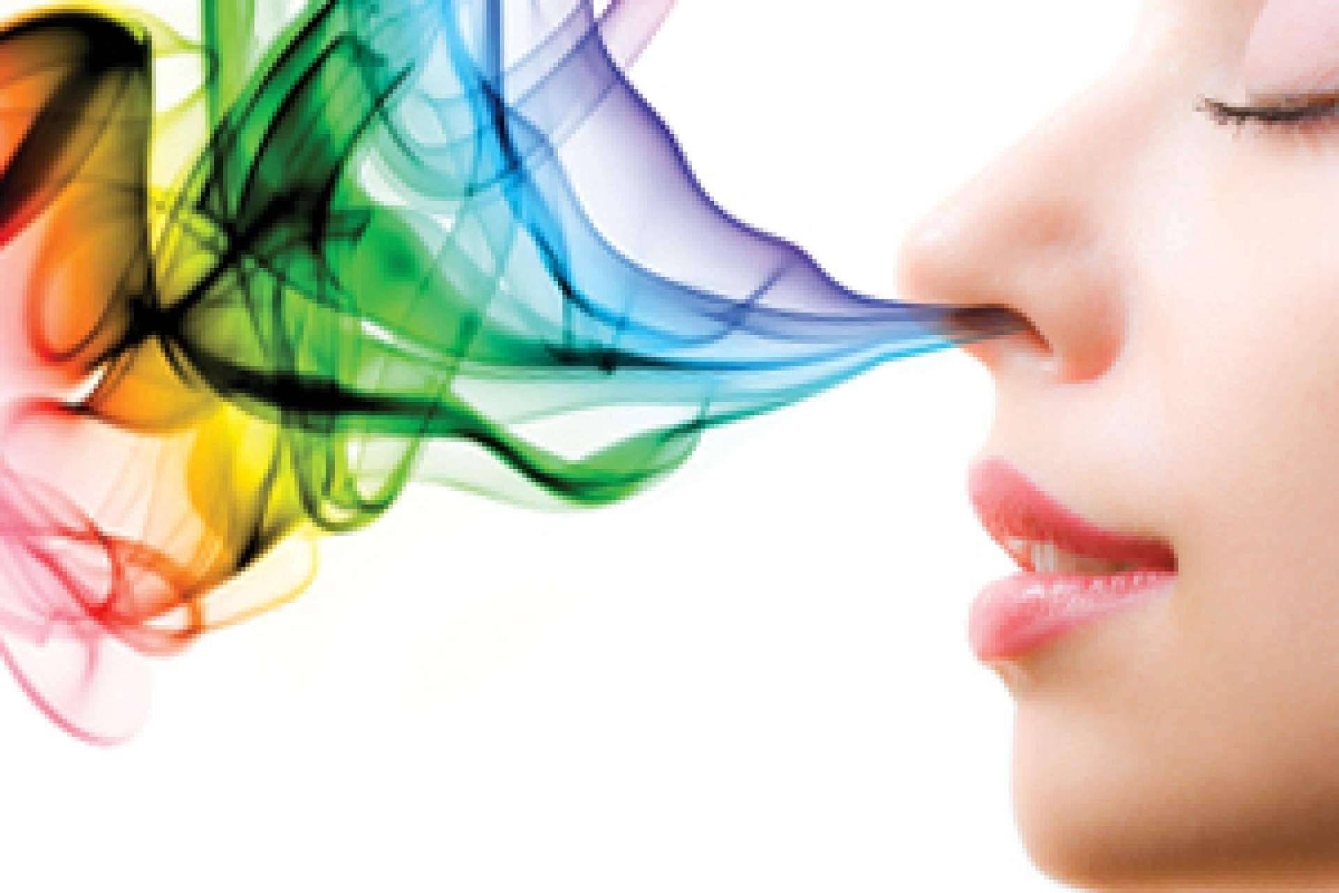 ¿Por qué es importante la aromaterapia en las tiendas y establecimientos? Scent Emotions