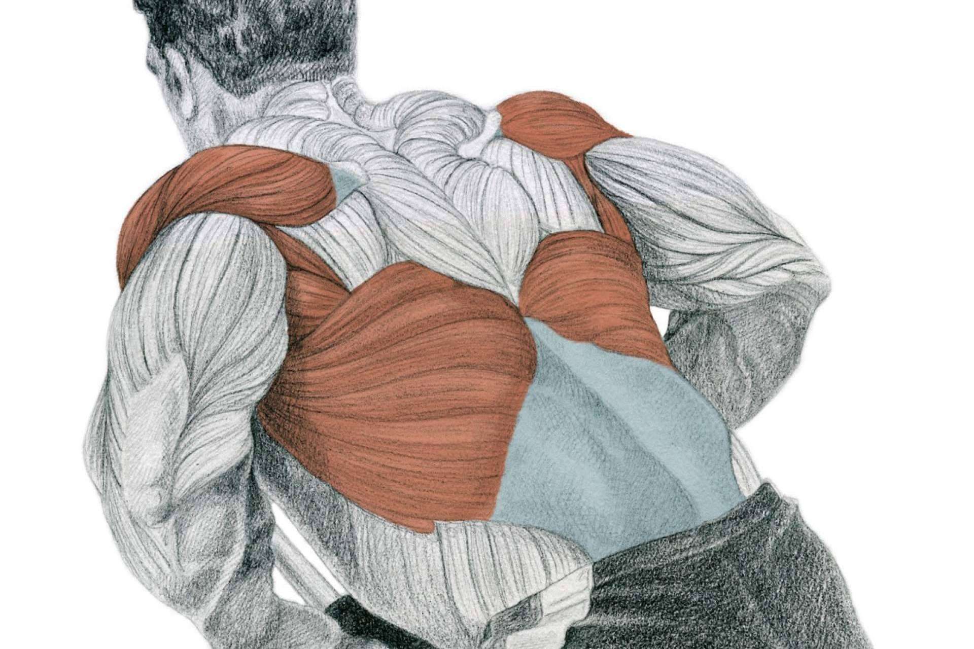 Un referente a nivel mundial, la enciclopedia de musculación de Óscar Morán