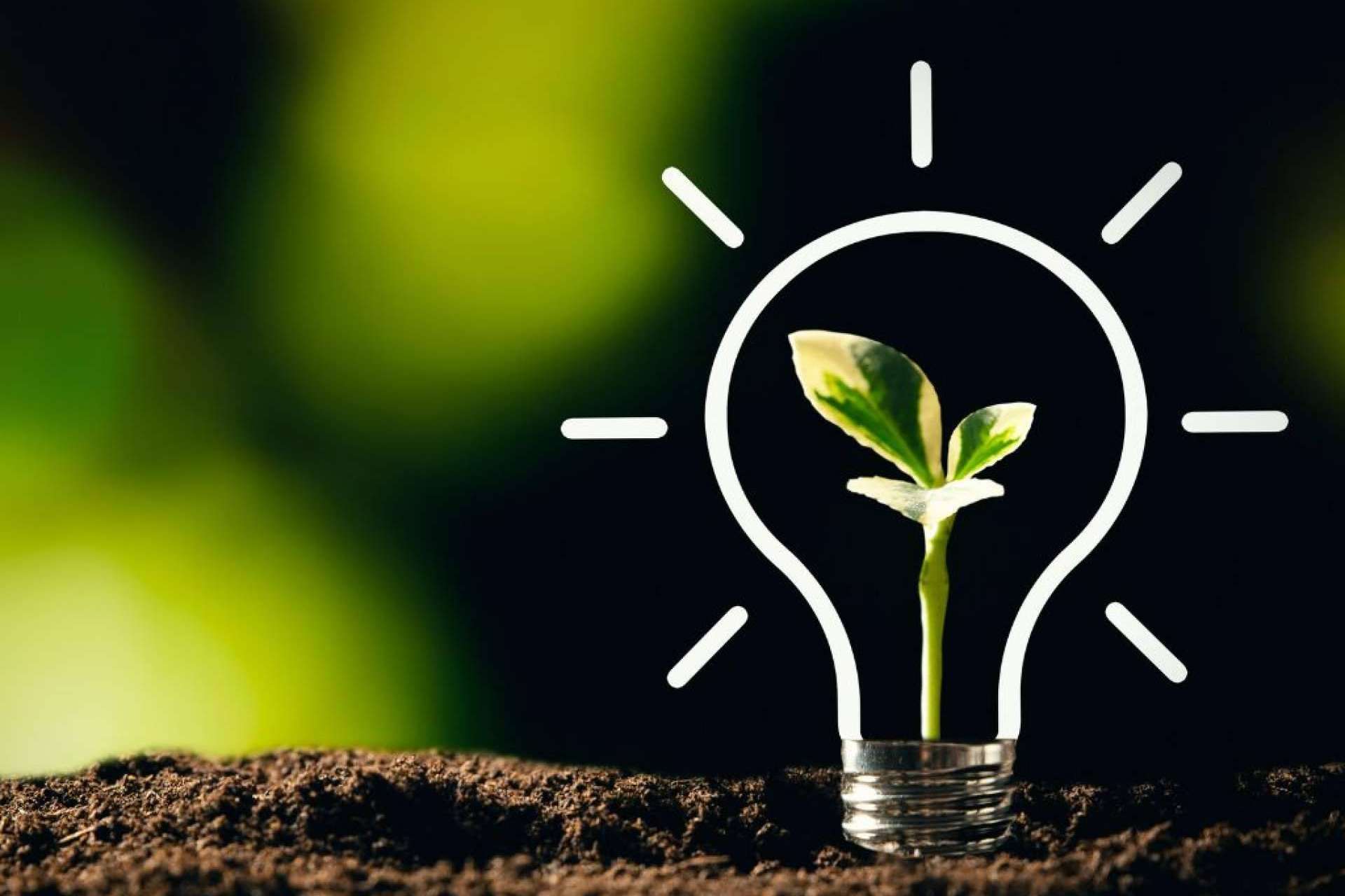 Share to Change una ONG que convierte proyectos sociales latinoamericanos en empresas sociales con proyección en Europa