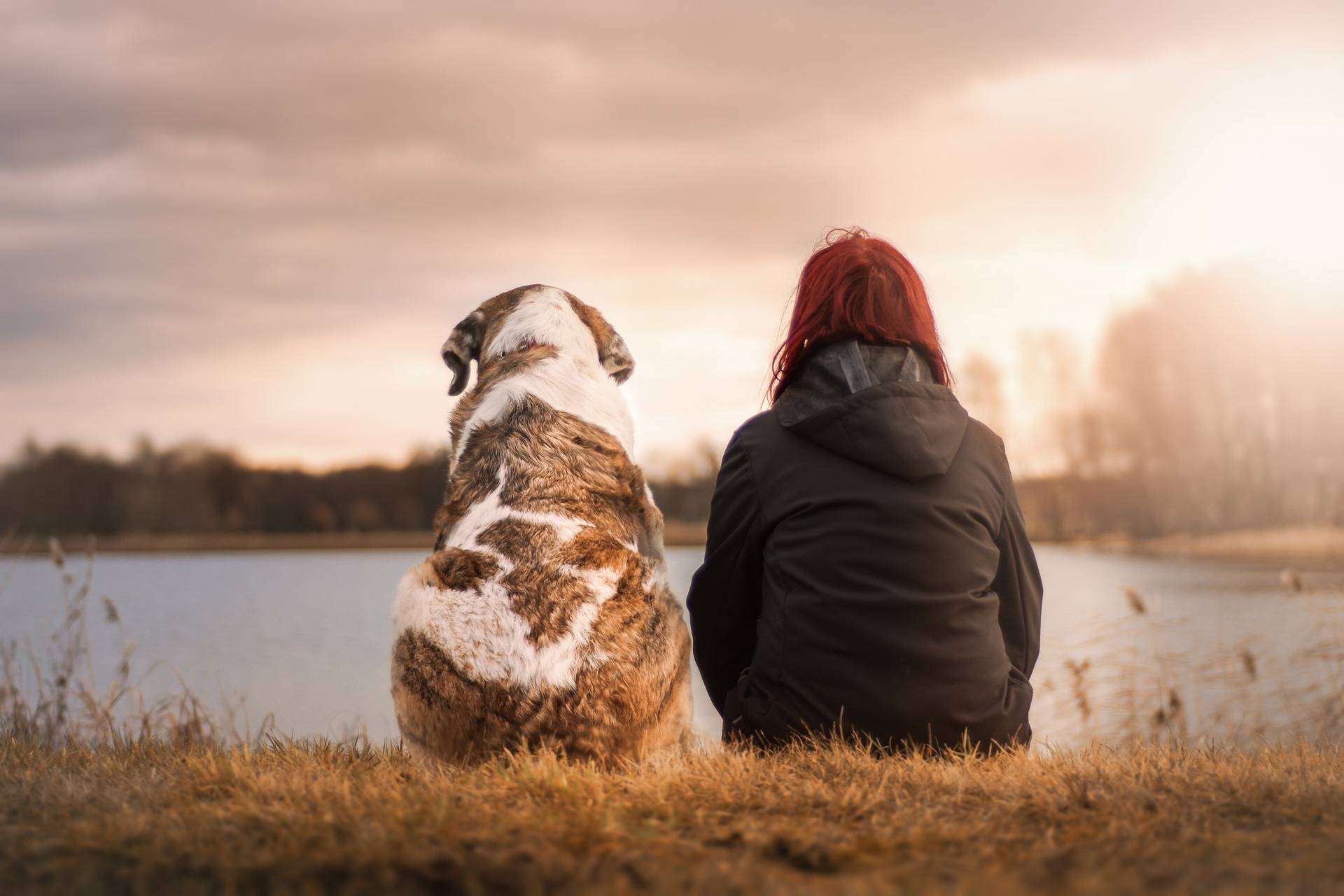 ¿Cómo terminar con la infelicidad laboral?, con El Perro Feliz