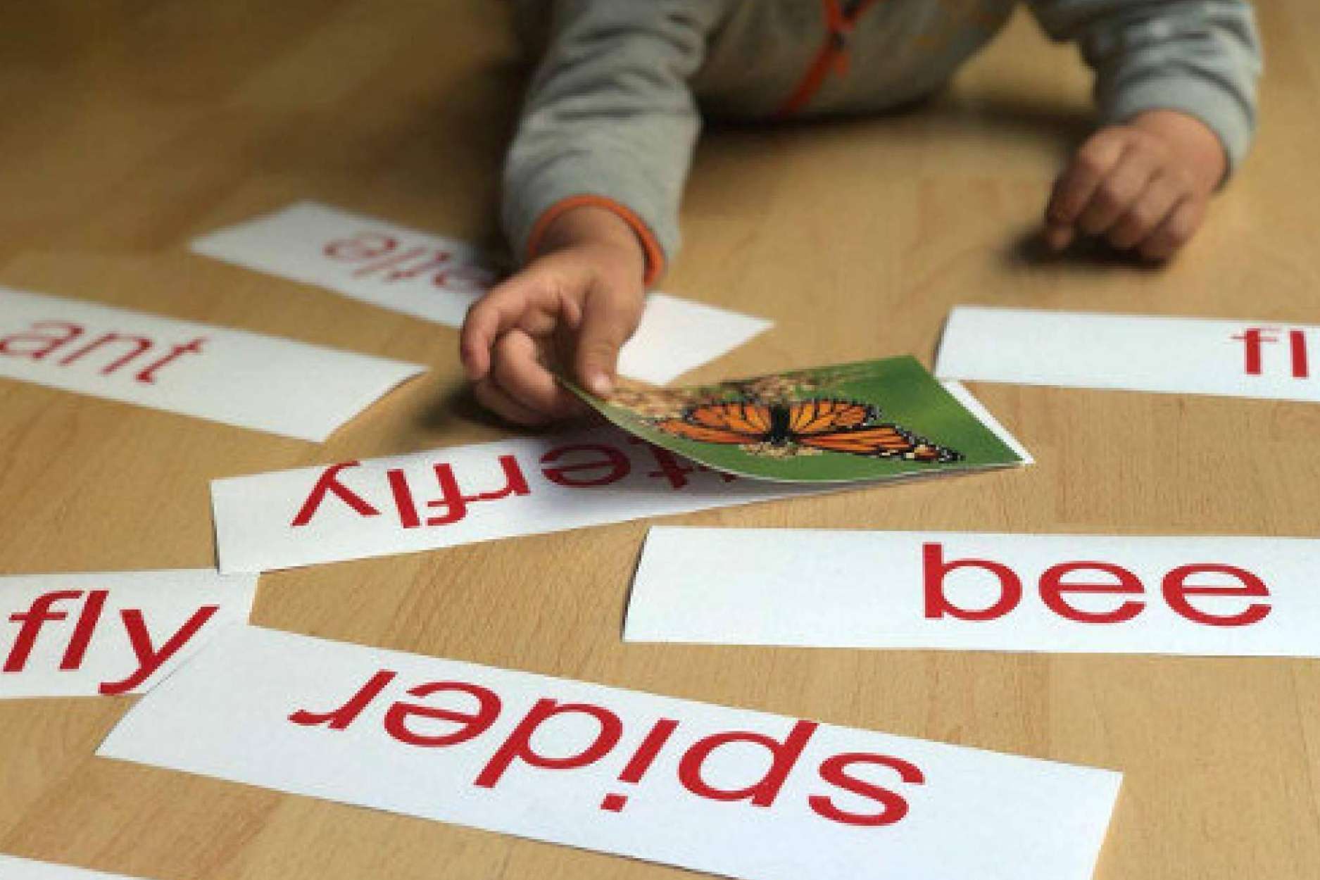 Importancia de la escolarización temprana en el centro de educación infantil My House ubicado en Valencia