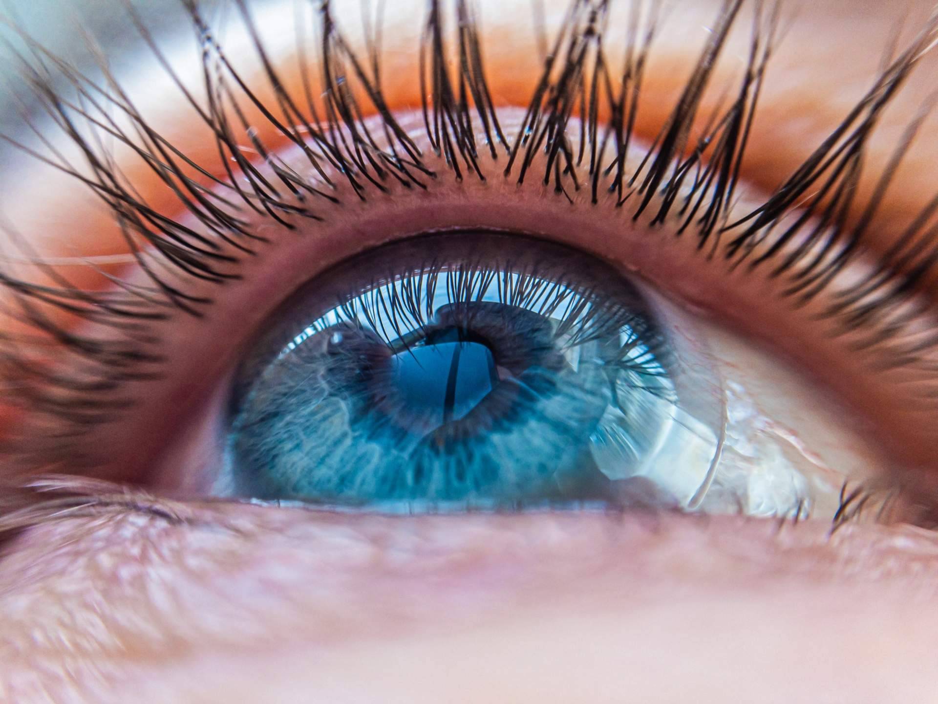 ¿Cómo utilizar correctamente las lentillas?
