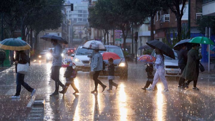 lluvia Merca2.es
