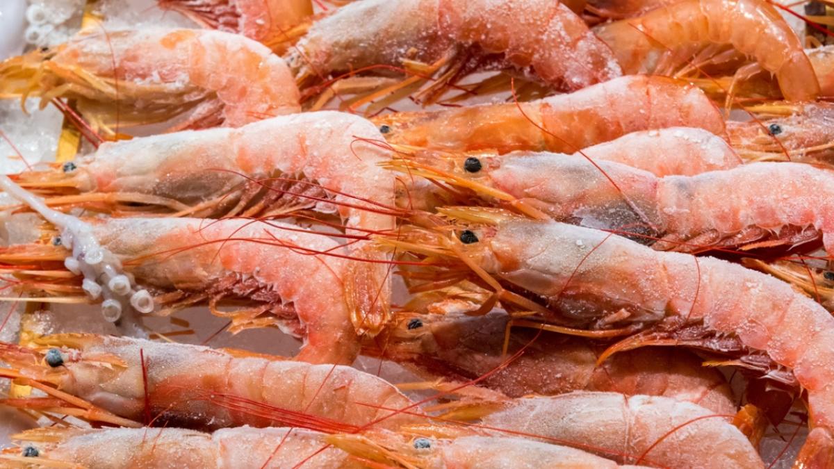 Los trucos para descongelar el marisco y mantener su sabor