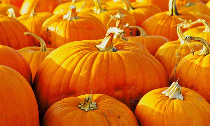 Beneficios nutricionales de la calabaza