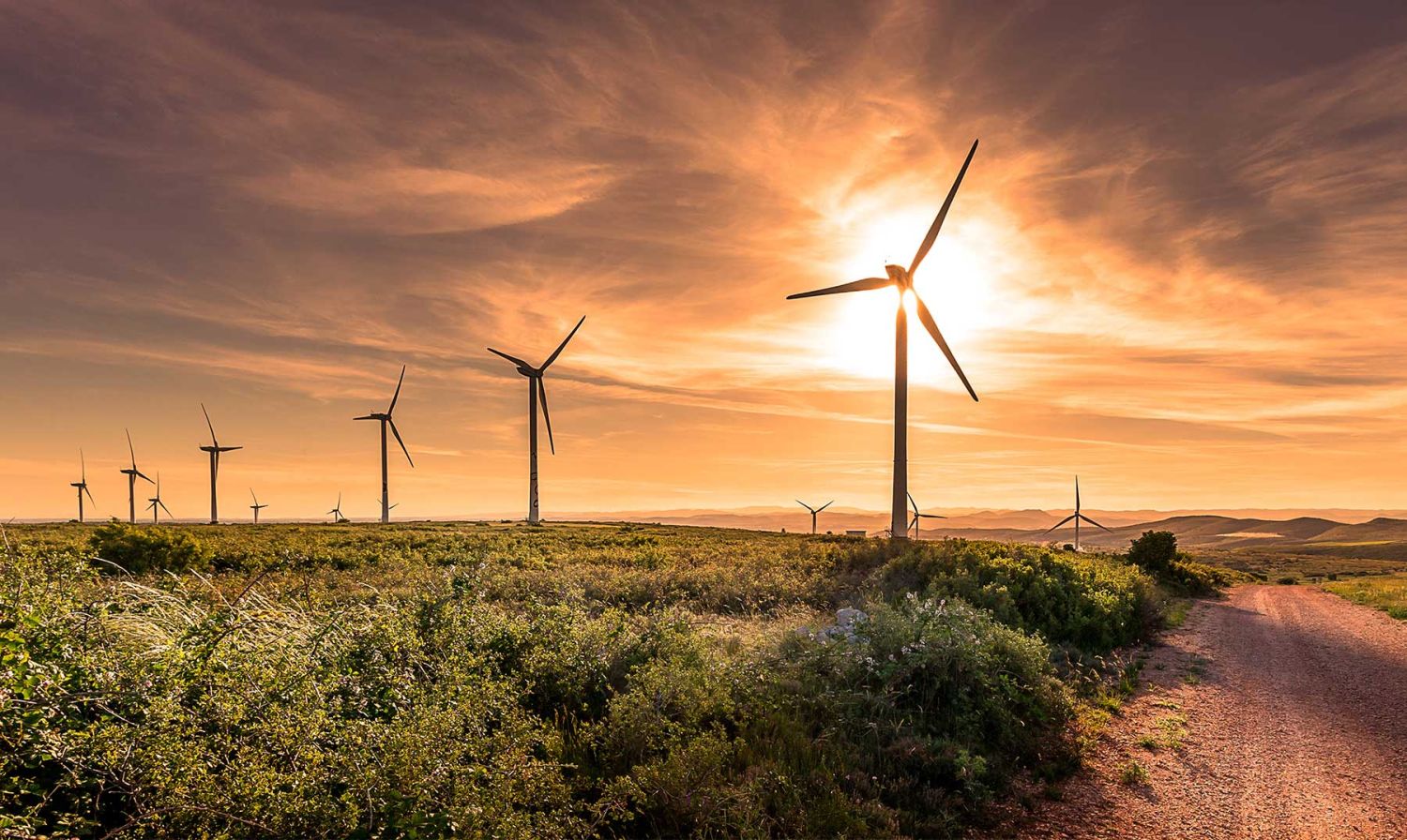 Energías renovables: esta es la situación actual de España
