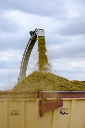 Genia Bioenergy exportará a India y Colombia la tecnología que saca biogás de la paja de arroz 2 Merca2.es Genia Bioenergy 2 Merca2.es