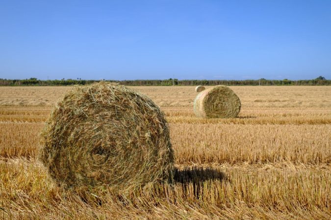 Genia Bioenergy exportará a India y Colombia la tecnología que saca biogás de la paja de arroz 3 Merca2.es Genia Bioenergy 3 Merca2.es