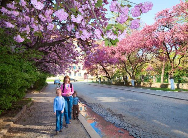 La primavera esta a la vuelta de la esquina Merca2.es