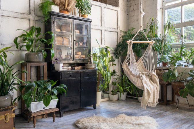 Plantas en tu casa 2 Merca2.es