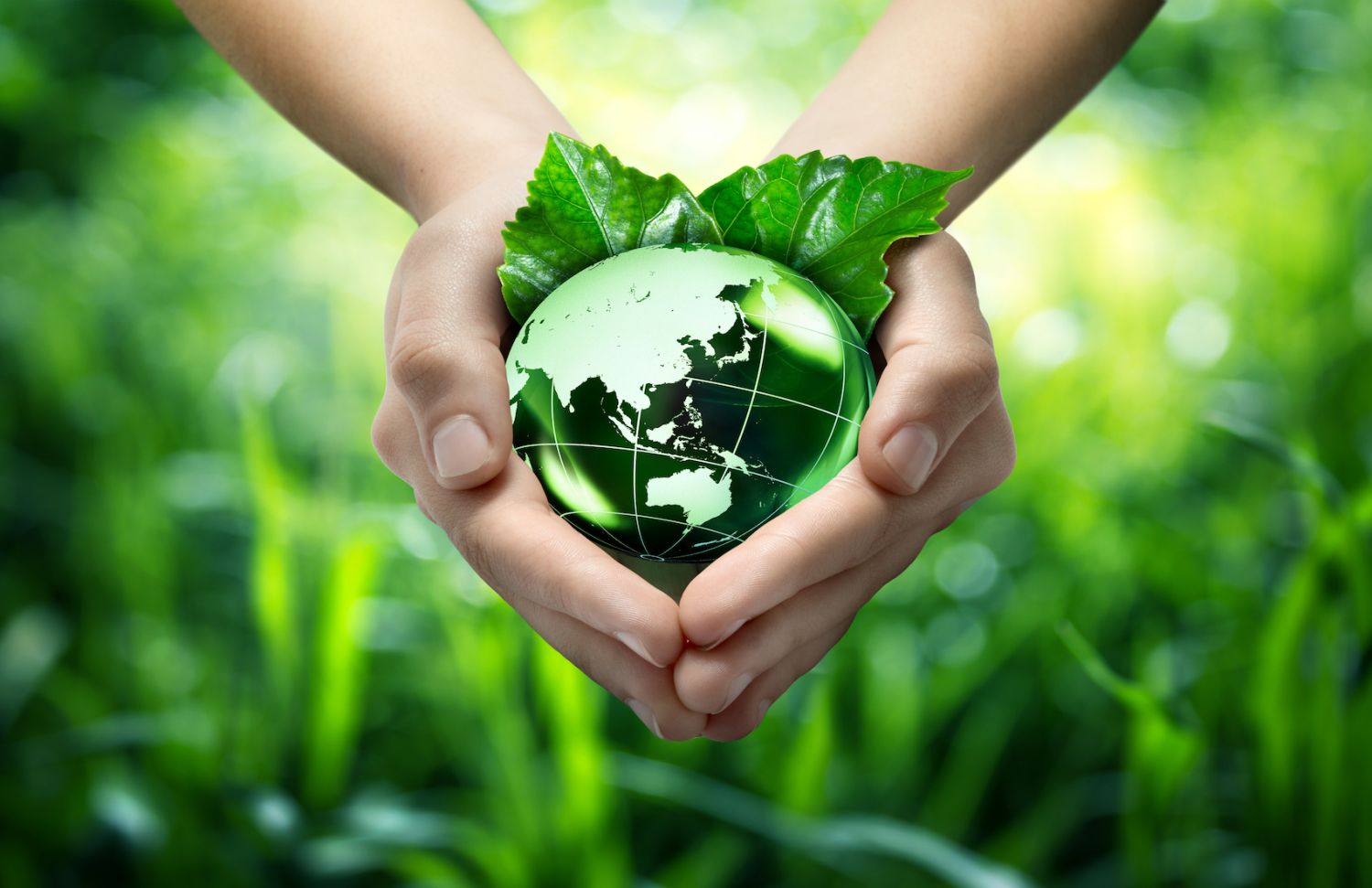 Sostenibilidad: 5 medidas concretas para mejorar el medio ambiente 2 Merca2.es España impulsa una política de agricultura sostenible para lograr la sostenibilidad