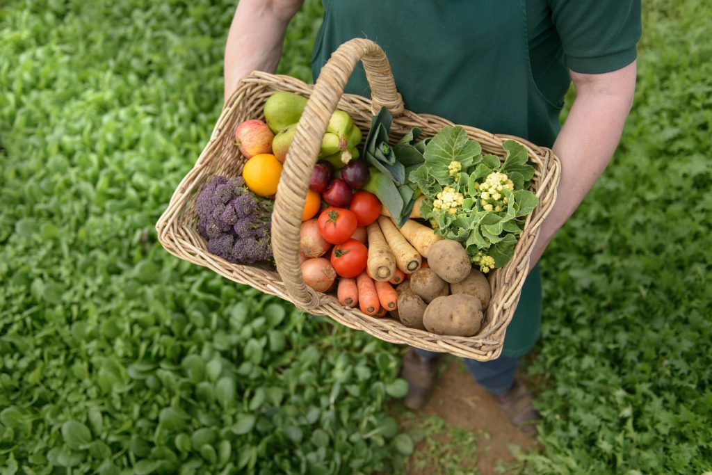 ¿Qué desafíos enfrenta la agricultura sostenible?