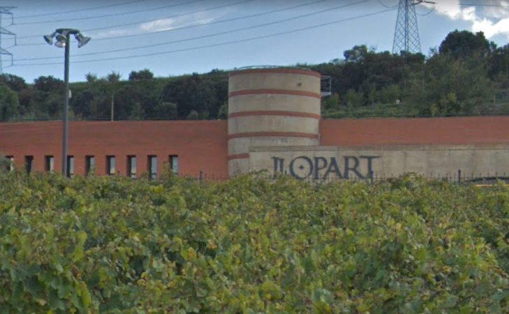 Llopart, una de las bodegas asociadas a Corpinnat