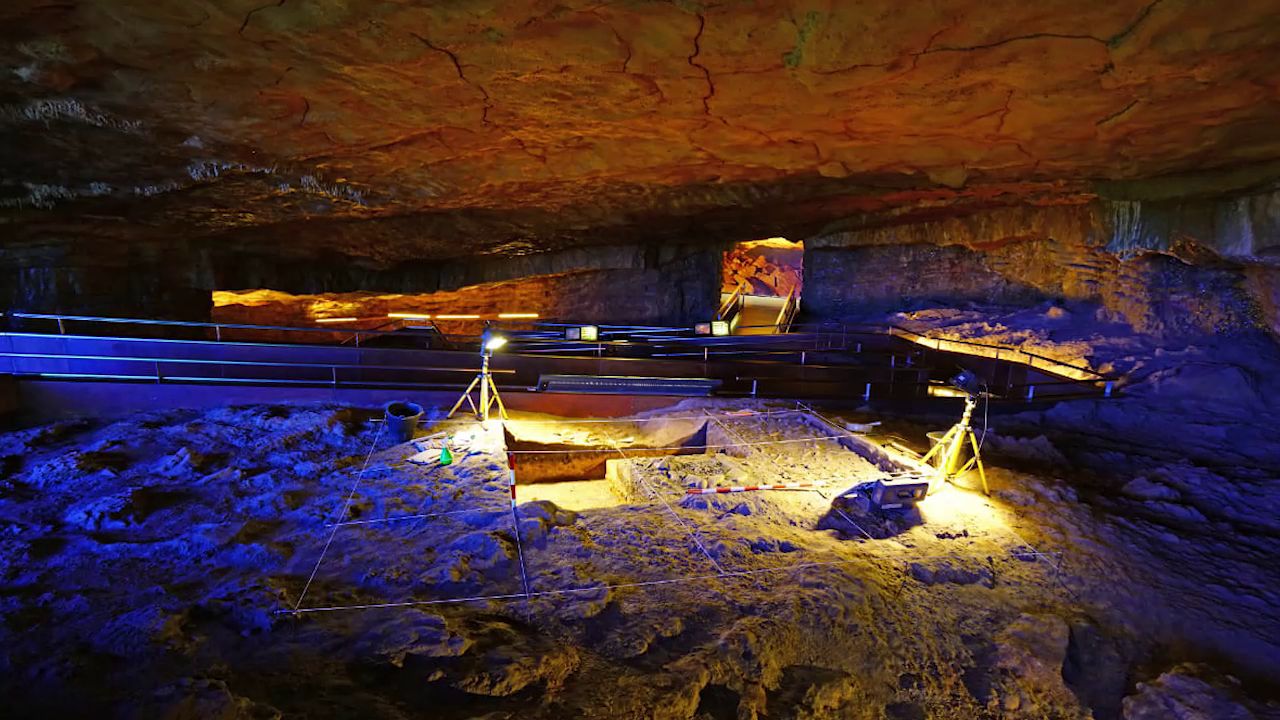 La conservación de las cuevas de Altamira