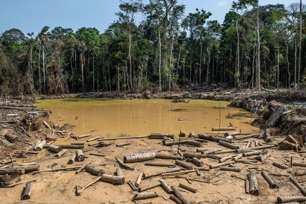 Causas de la deforestación en España