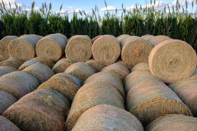 Genia Bioenergy exportará a India y Colombia la tecnología que saca biogás de la paja de arroz 1 Merca2.es genia Bioenergy 4 Merca2.es