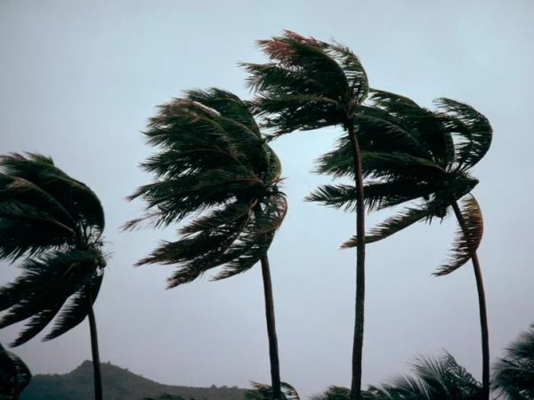 Viento fuerte
