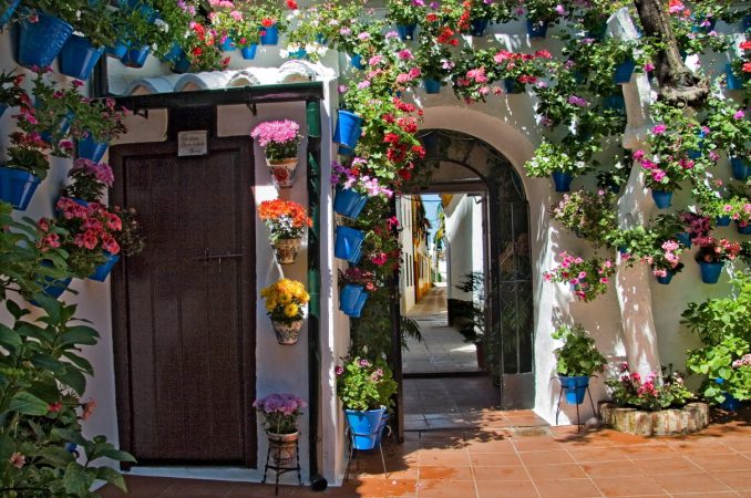 patios Merca2.es