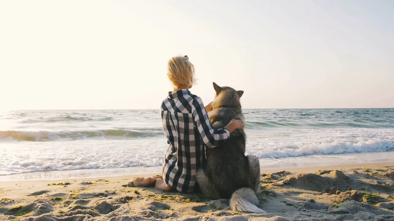 Por qué los que los perros prefieren a las mujeres