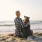 La multa de 10.000 euros que te pueden poner si haces esto con tu perro