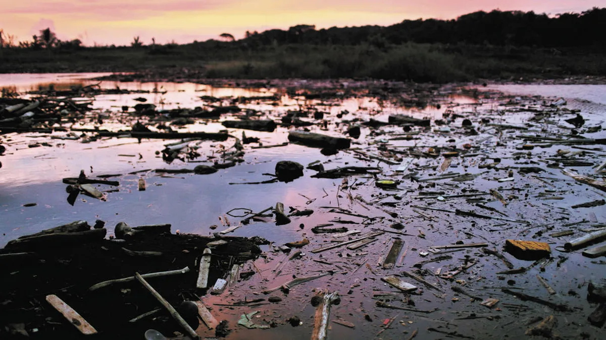 La degradación de los ecosistemas marinos