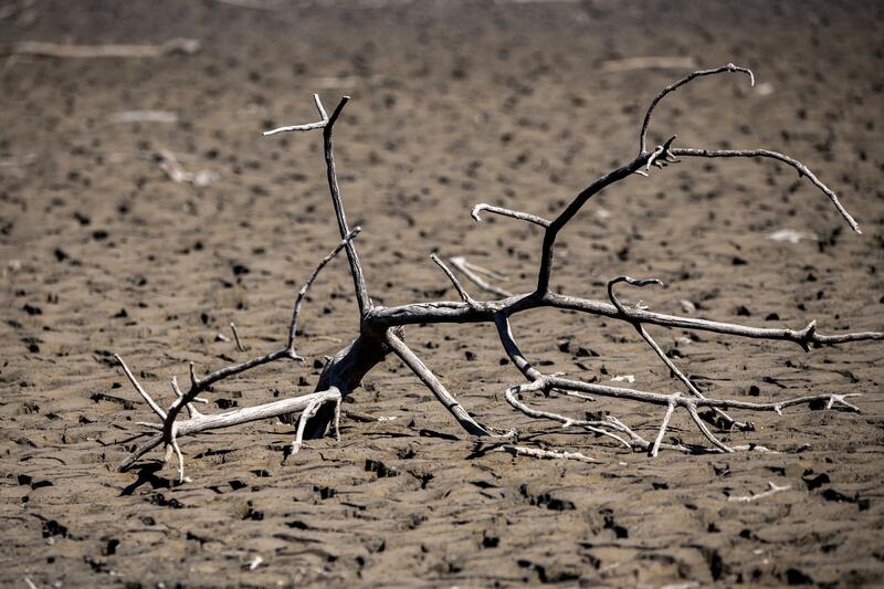 El Gobierno convoca para el próximo 19 de abril la Mesa de la Sequía para evaluar su incidencia en el campo