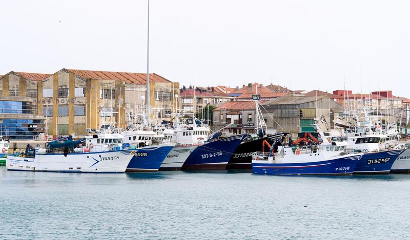 La flota cántabra ha pescado 1,6 millones de kilos de anchoa por un valor de 4,2 millones