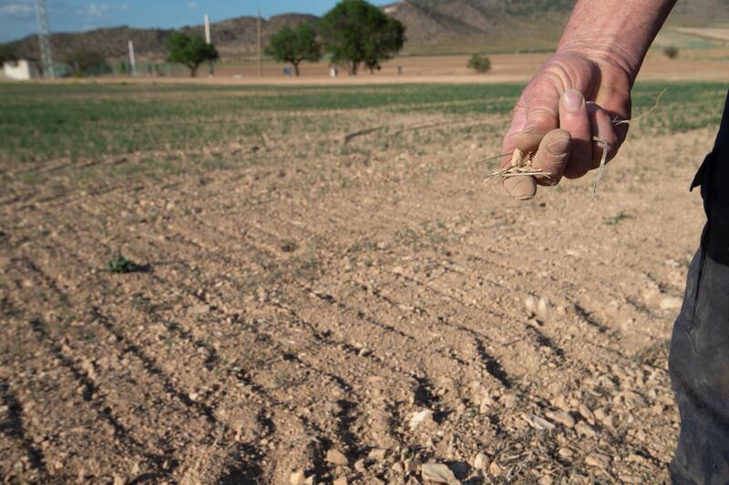 El Gobierno rebaja el 25% en el IRPF para ayudar a 800.000 agricultores y ganaderos por la sequía