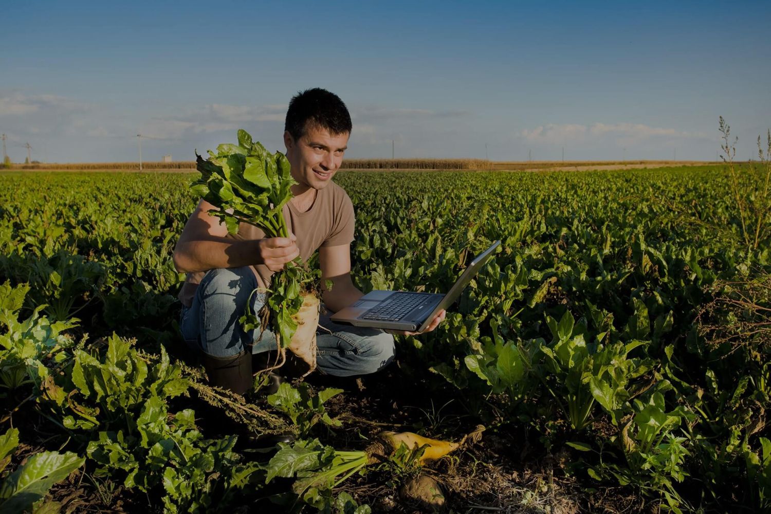 Qué papel juegan los consumidores en la agricultura sostenible