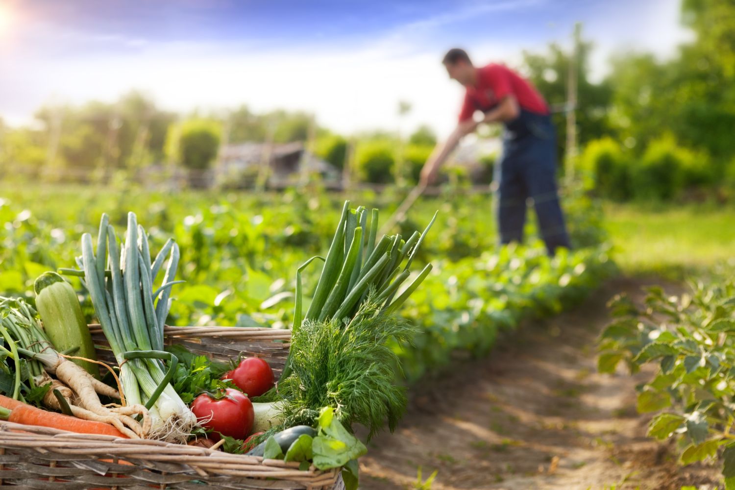 Un nuevo concepto de agricultura