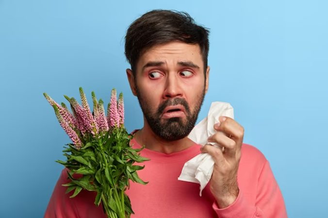 Alergia estacional