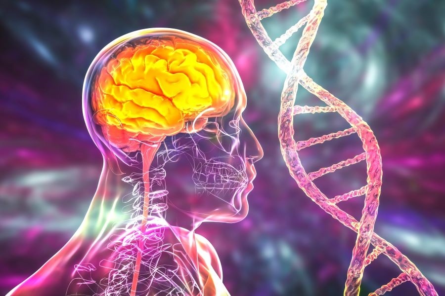 BIAL Award in Biomedicine 2023 premiará con 300.000 euros al ganador