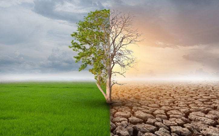 Cambio climatico 1 Merca2.es