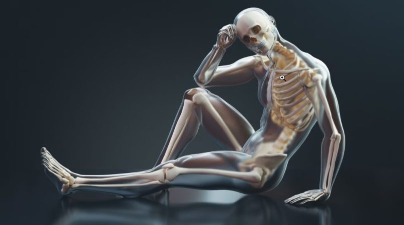 La capacidad regeneradora de los antioxidantes