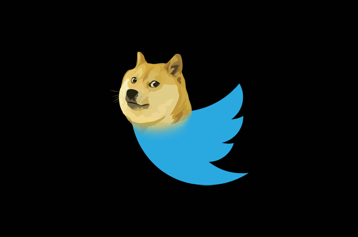 La criptomoneda Dogecoin sube hoy hasta un 30% tras reemplazar al pájaro de Twitter