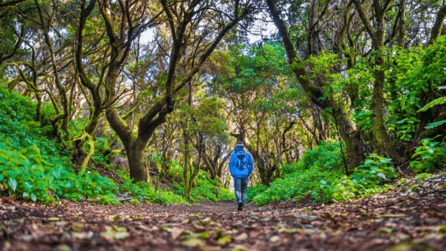 Cómo encontrar un buen destino para el ecoturismo