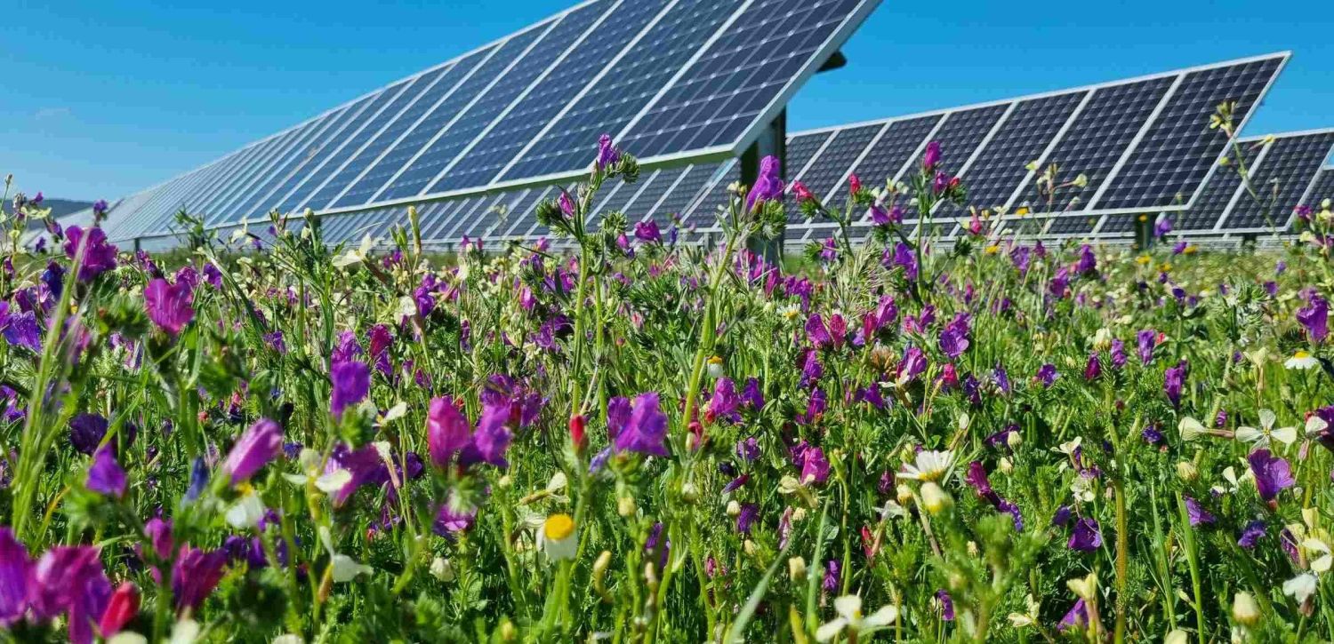 Endesa invierte 4.300 millones para alcanzar 91% de producción solar y eólica en 2025