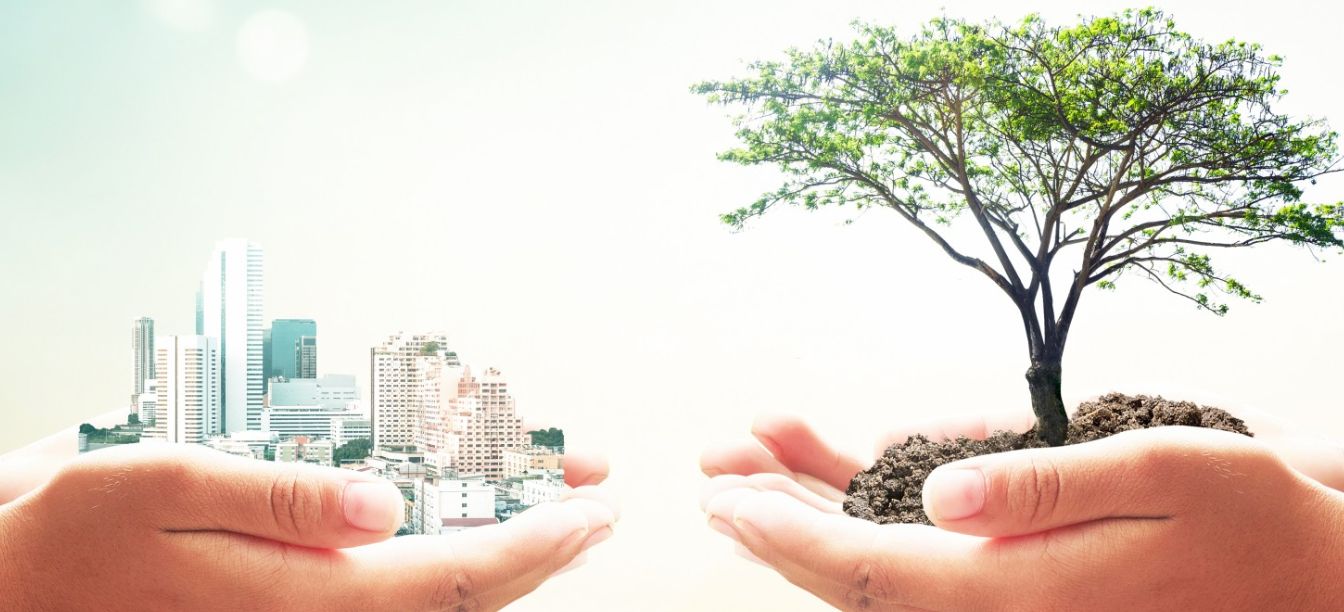 Gestión ambiental: como es el equilibrio entre el crecimiento económico y la protección del medio ambiente