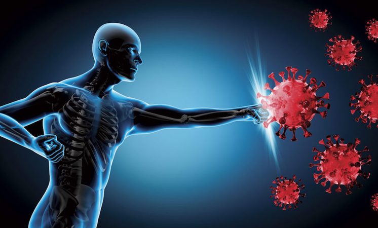 La mizuna potencia el sistema inmunitario
