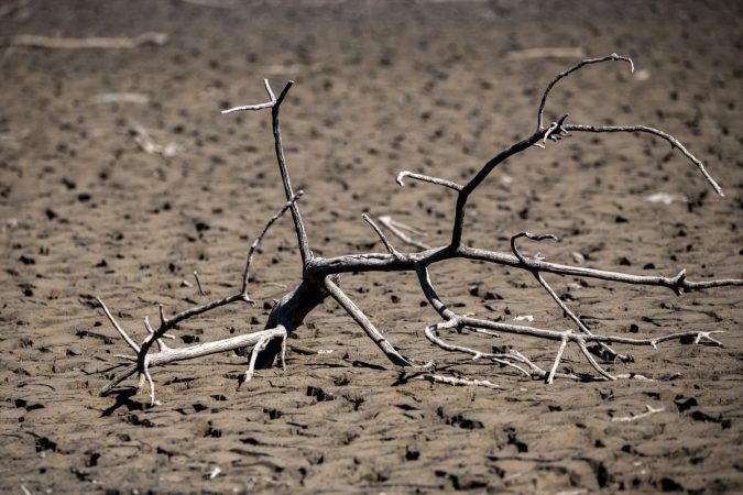 Los efectos perniciosos del cambio climático