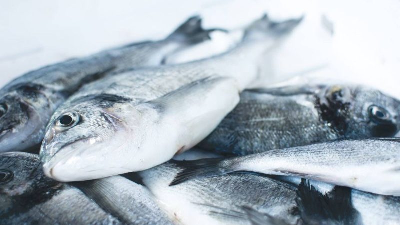 El Mar Cantábrico es una región de alto riesgo de anisakis en el pescado