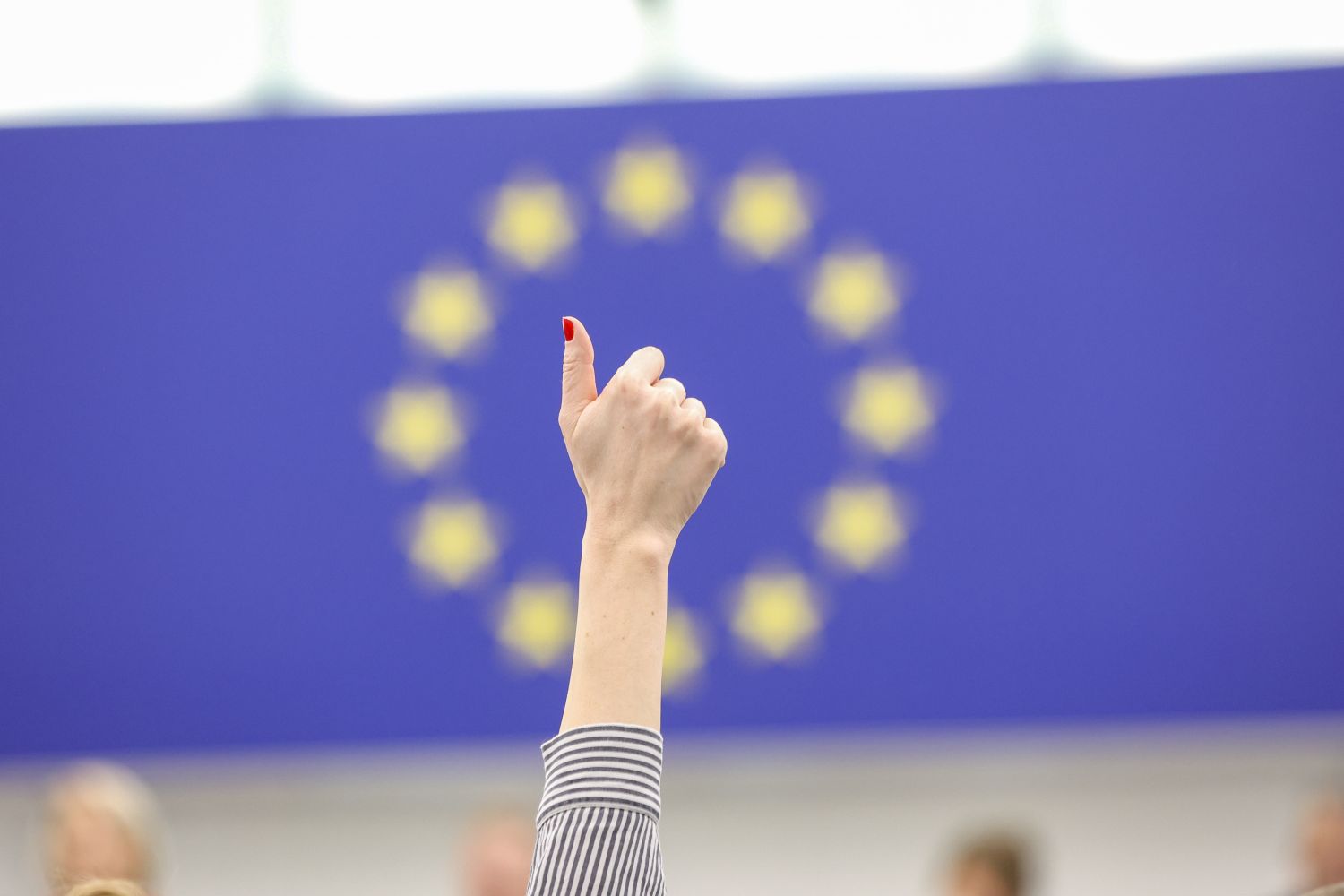 El Parlamento Europeo a la caza de los piratas cripto