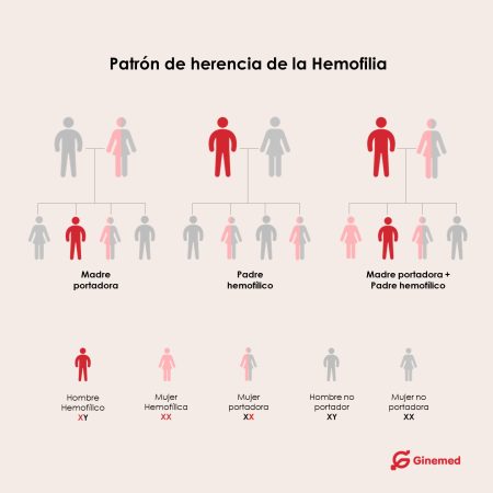 Patron de herencia de la Hemofilia Merca2.es