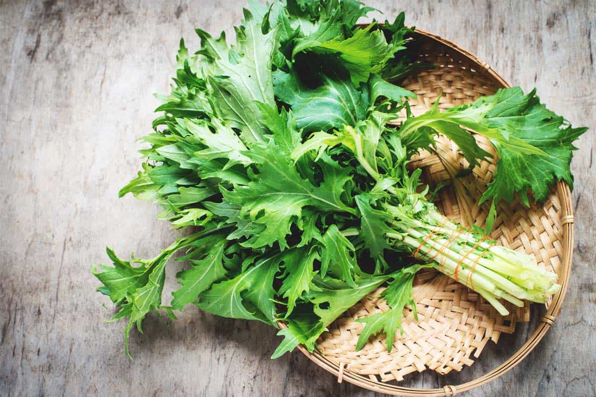 Repara tu piel a través de este alimento