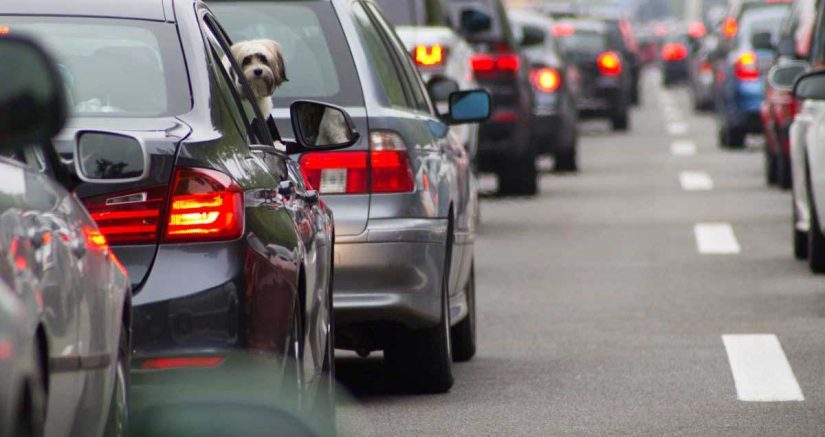 Vehículos afectados por la medida de la DGT: quiénes quedan fuera 