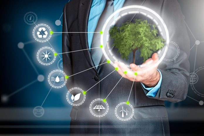 Sostenibilidad empresarial: 9 formas de crear un negocio sostenible y rentable a largo plazo