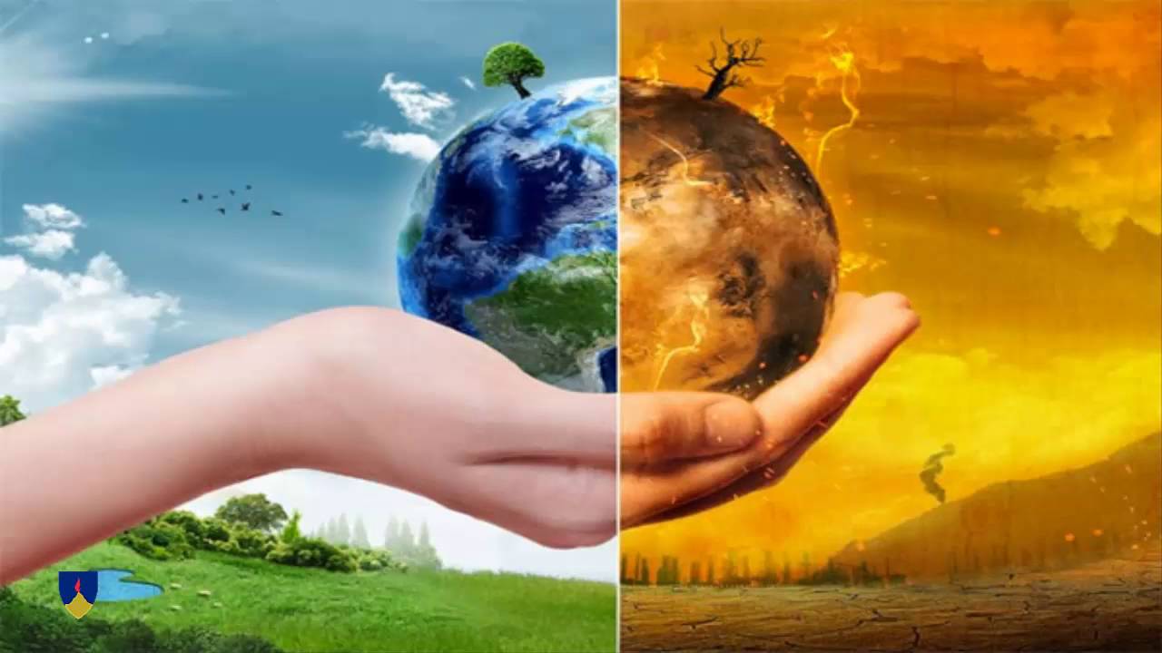Conservación de la naturaleza: el rol de las ONGs y las instituciones gubernamentales 2 Merca2.es ¿Cómo se puede promover la conservación de la naturaleza?
