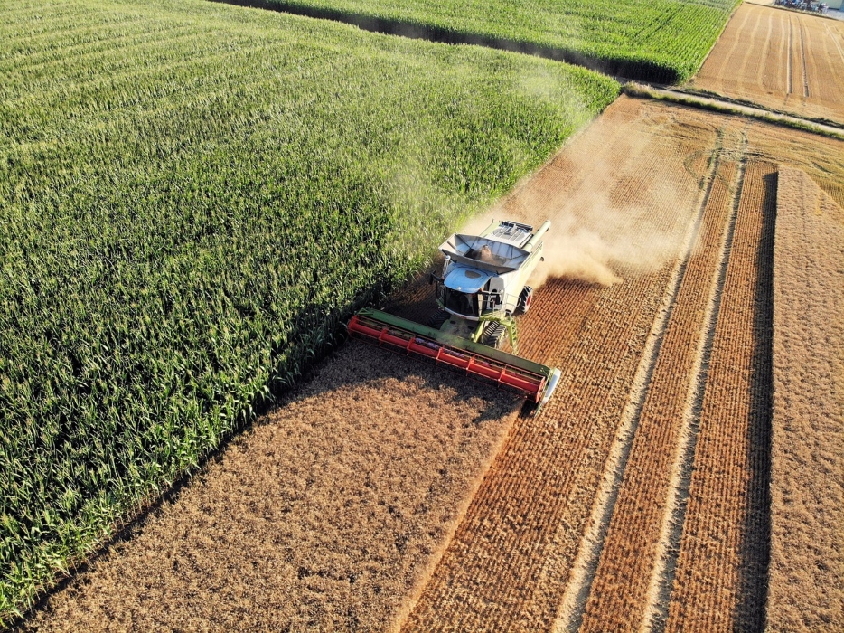 La sequía ahoga la economía de los agricultores españoles