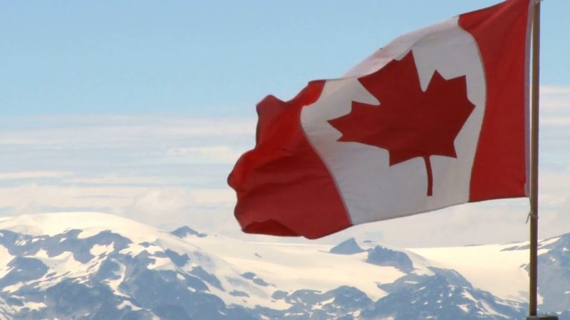 descubren en canada una ardilla Merca2.es