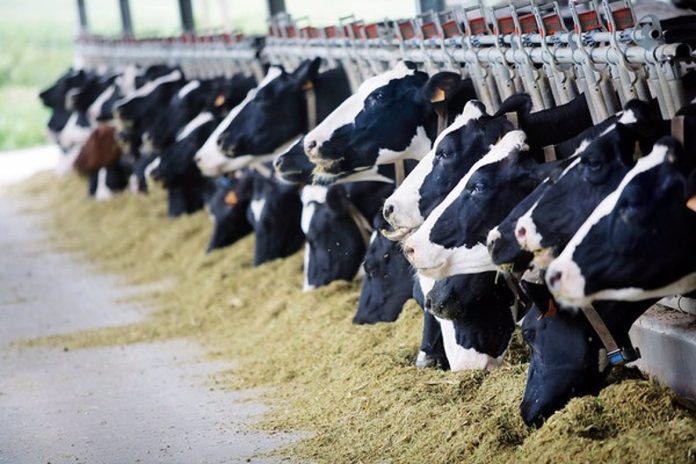Huella de carbono de la agricultura y ganaderías españolas aumenta casi 10%